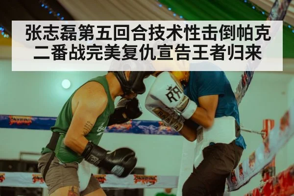 张志磊第五回合技术性击倒帕克二番战完美复仇宣告王者归来